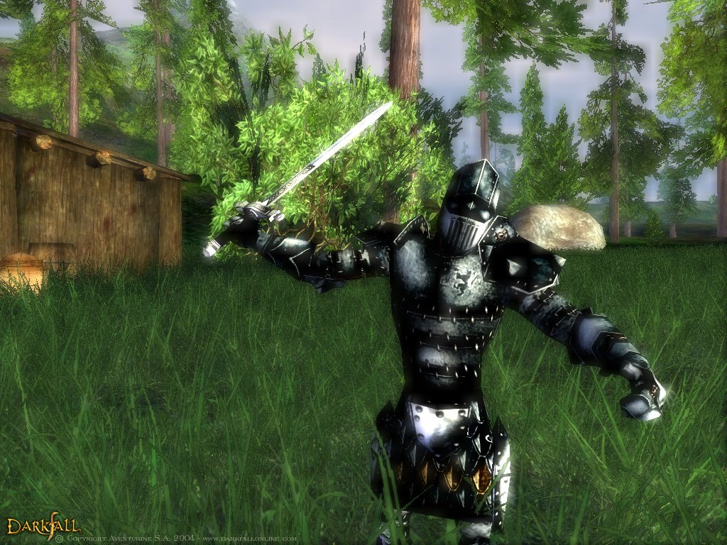 Скриншот из игры Darkfall Online - 15