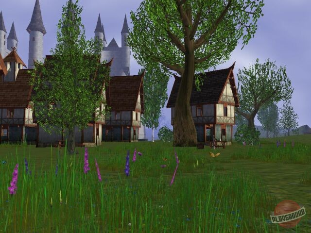 Скриншот из игры Darkfall Online - 21