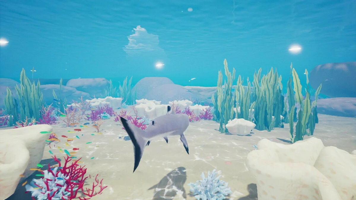 Скриншот из игры Tchia - 34