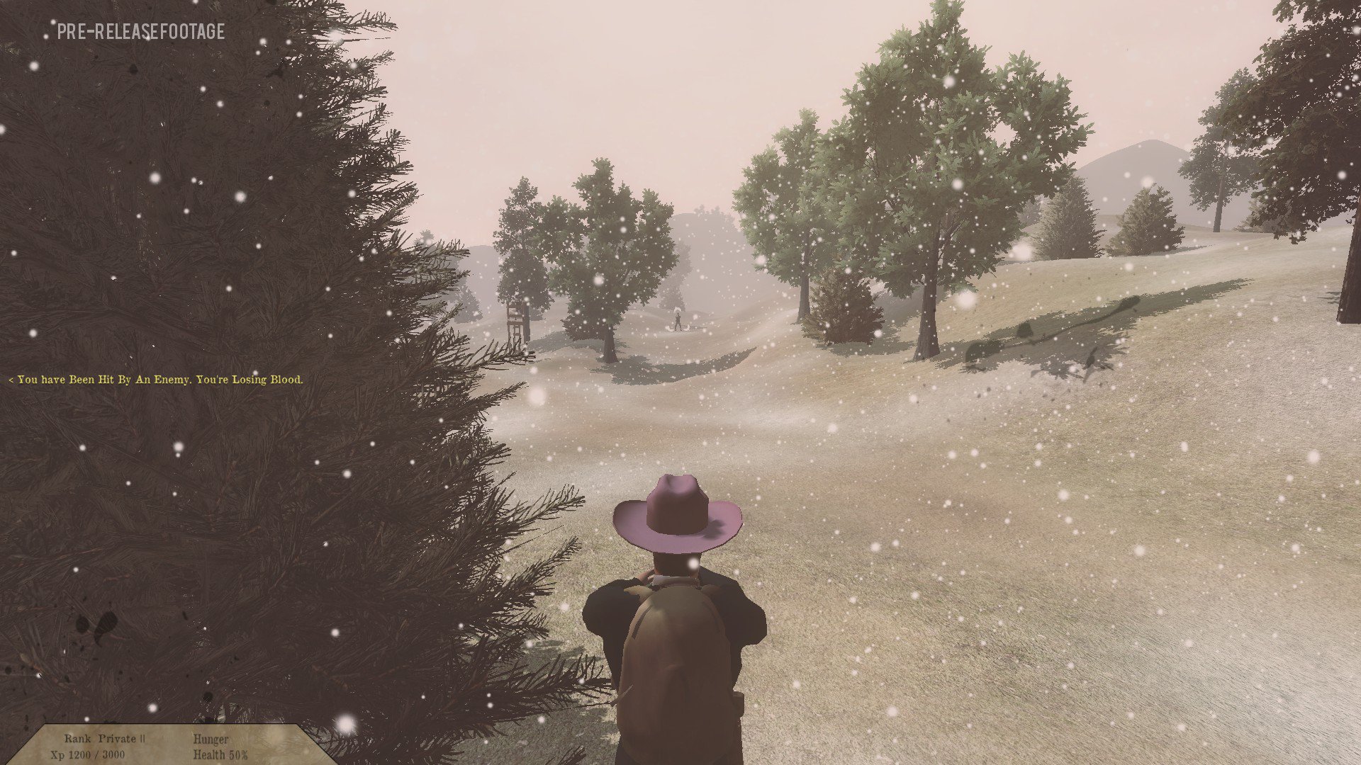 Скриншот из игры Northern Regime - 6