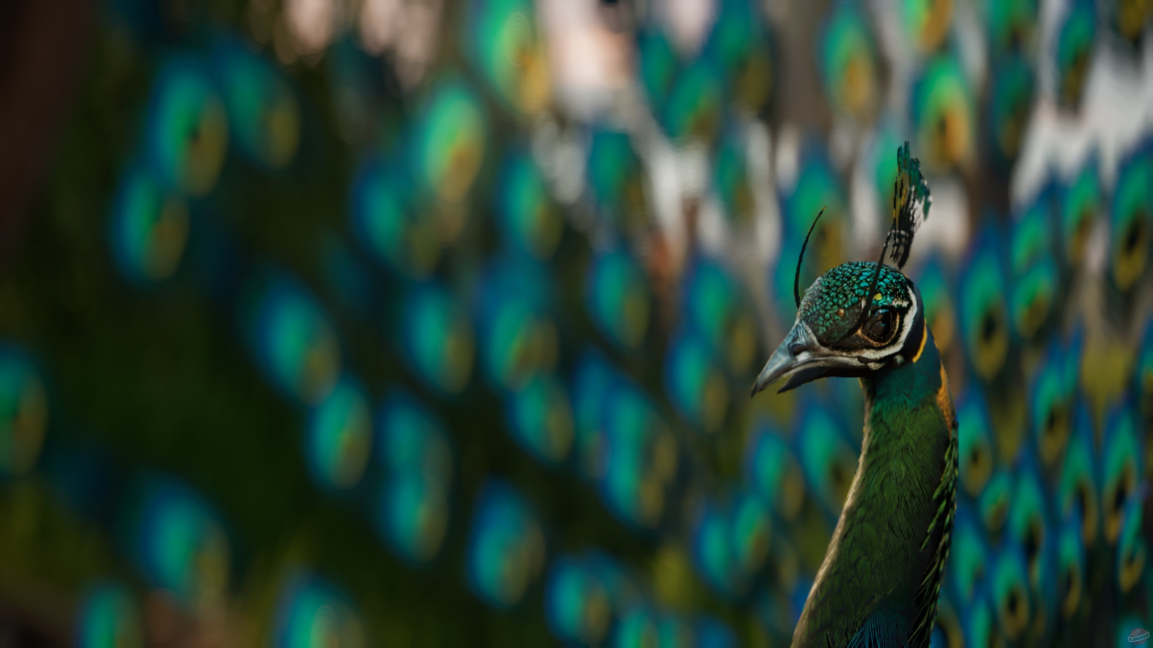 Скриншот из игры Son of Thanjai - 13