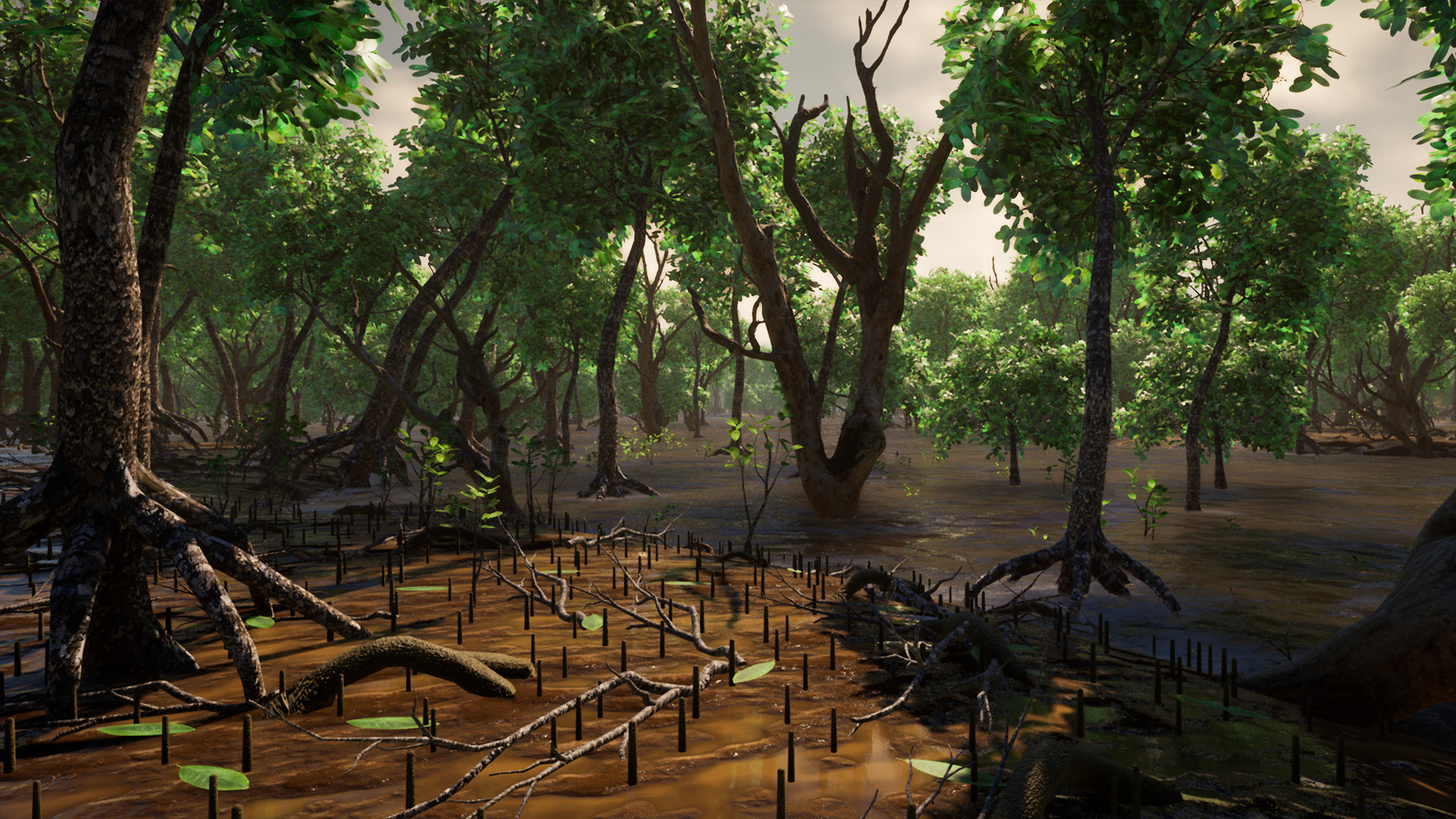 Скриншот из игры Straya - 11