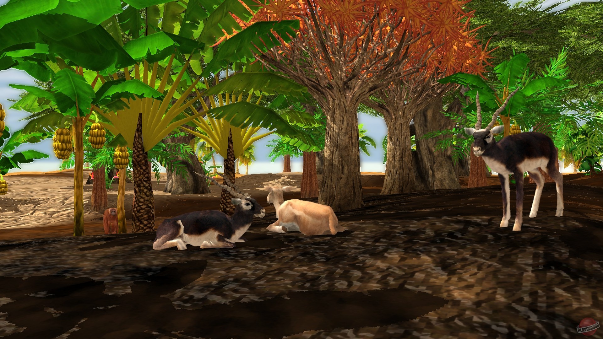 Скриншот из игры Wildlife Park 3 - 84