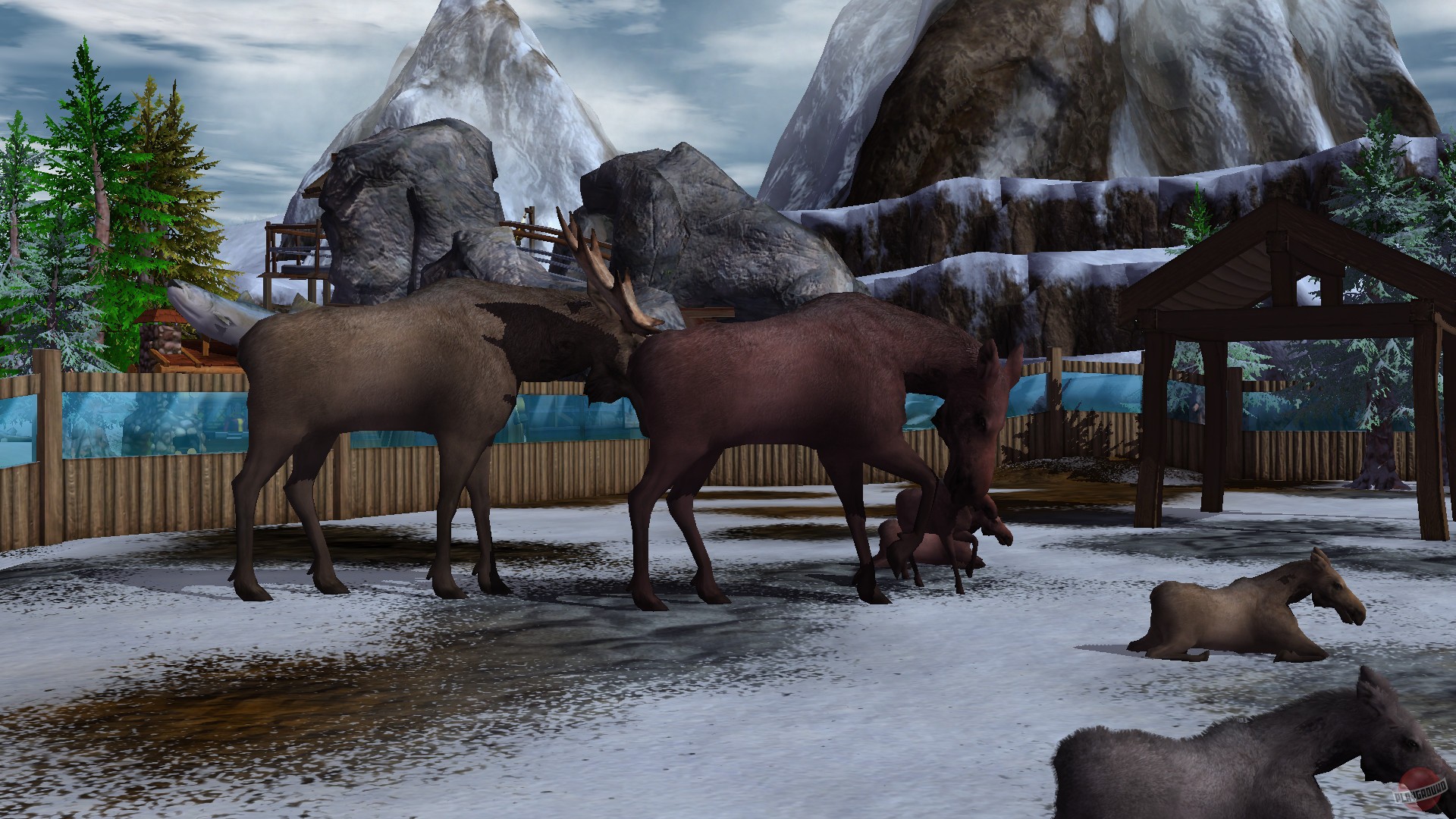 Скриншот из игры Wildlife Park 3 - 110