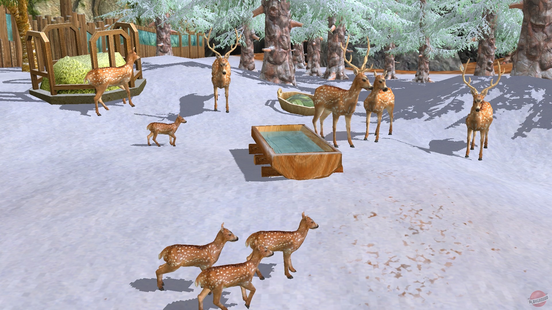 Скриншот из игры Wildlife Park 3 - 179