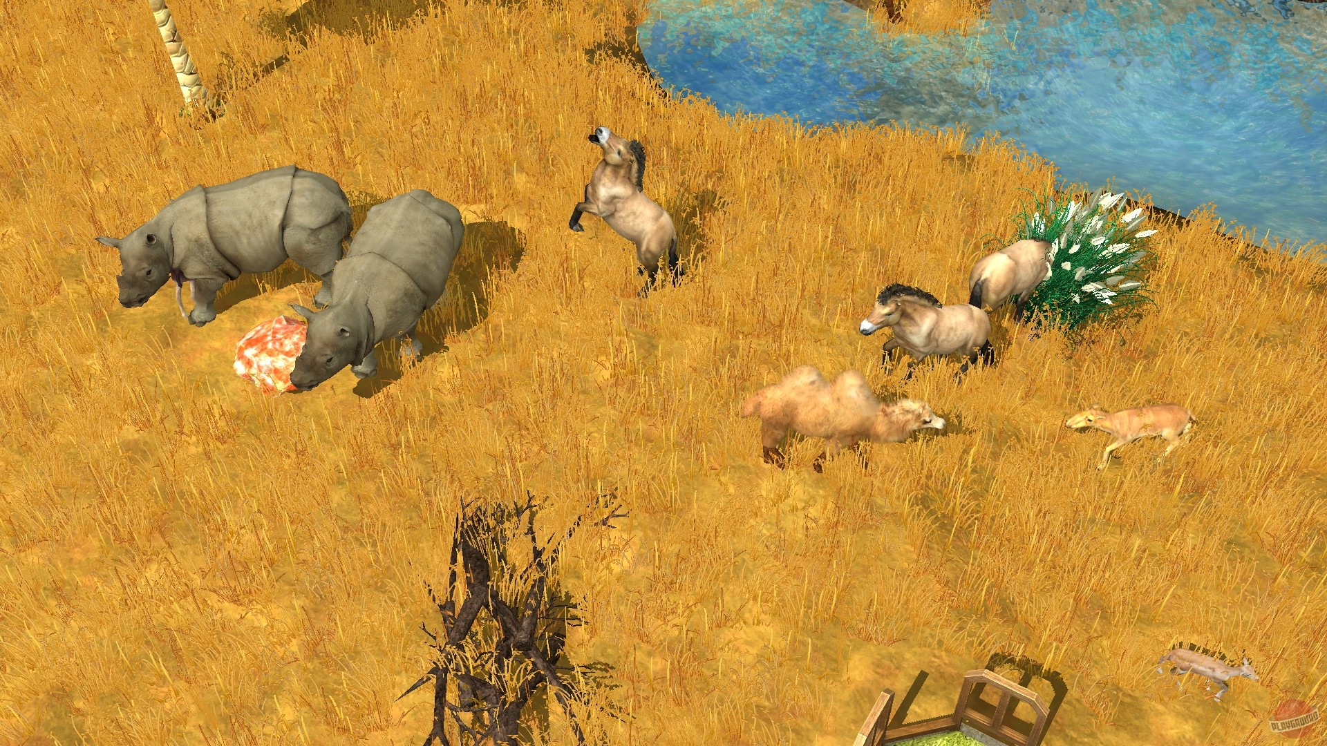 Скриншот из игры Wildlife Park 3 - 171