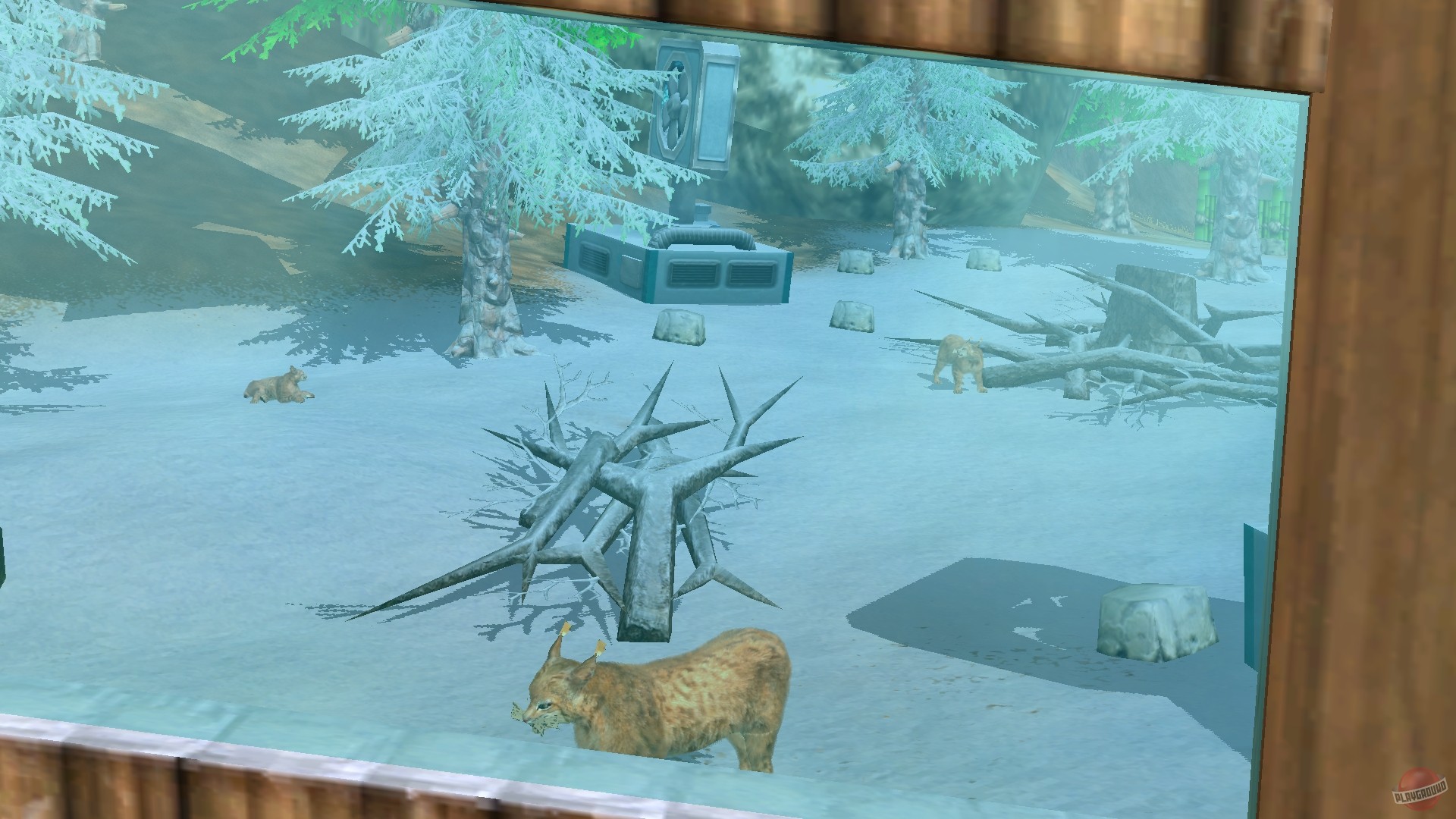 Скриншот из игры Wildlife Park 3 - 169