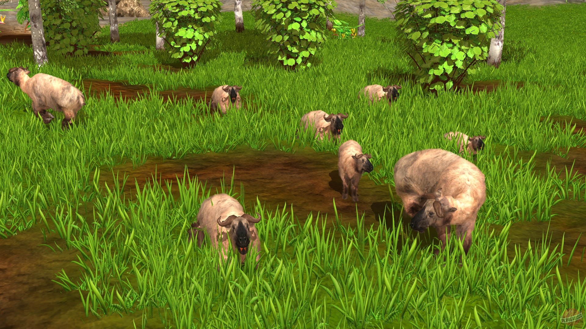 Скриншот из игры Wildlife Park 3 - 109