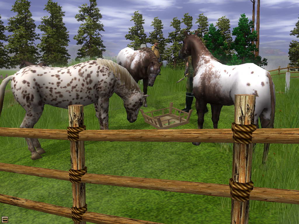 Скриншот из игры Wildlife Park 2: Horses - 4