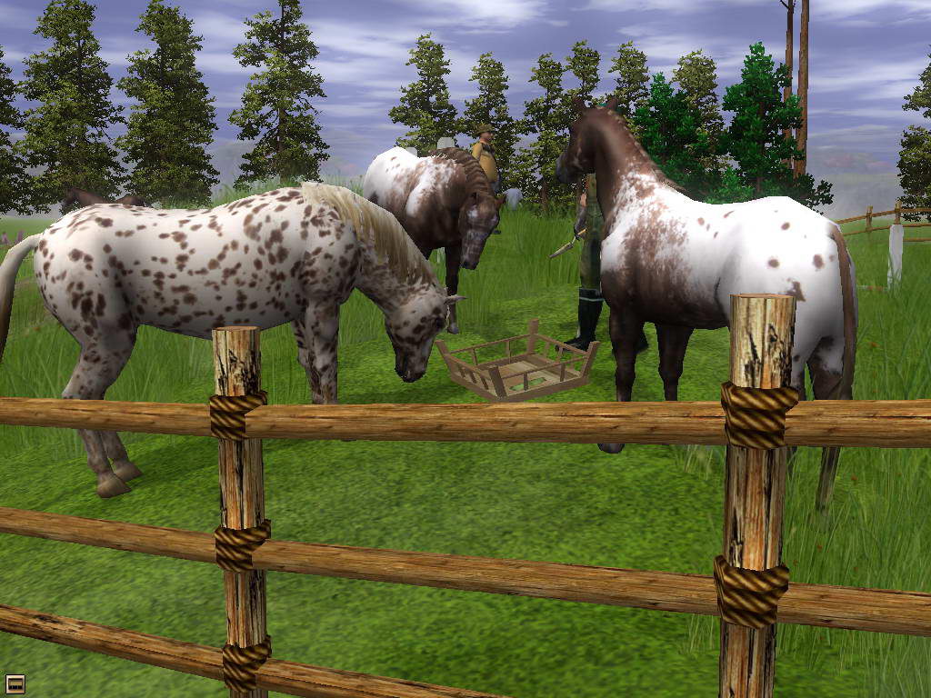 Скриншот из игры Wildlife Park 2: Horses - 27