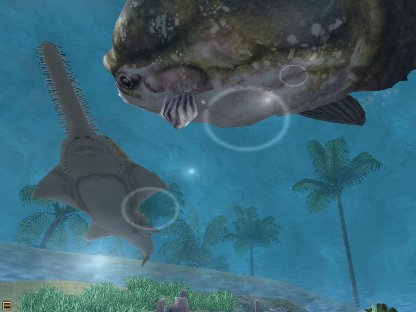 Скриншот из игры Wildlife Park 2: Marine World - 8