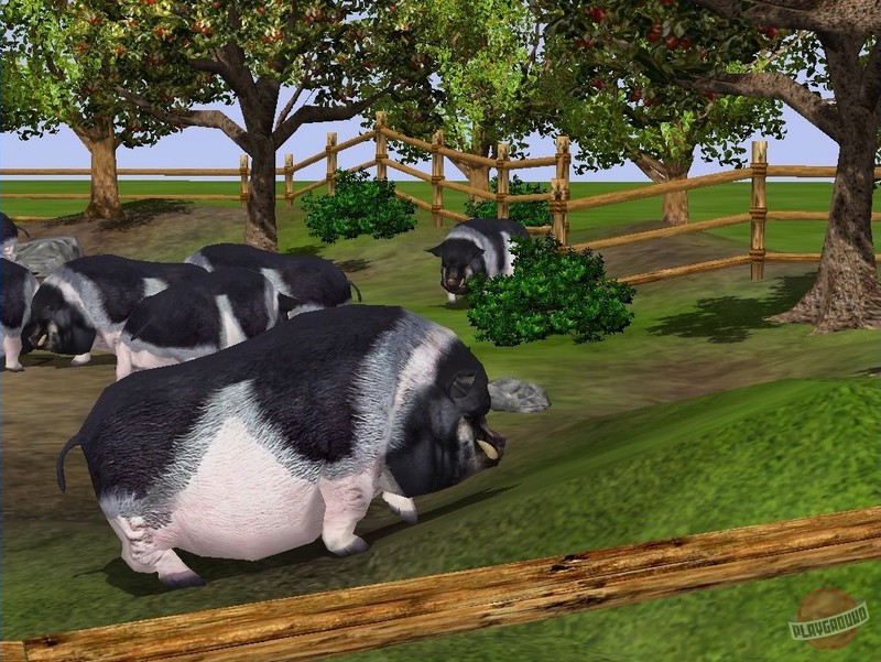 Скриншот из игры Wildlife Park 2 - 9