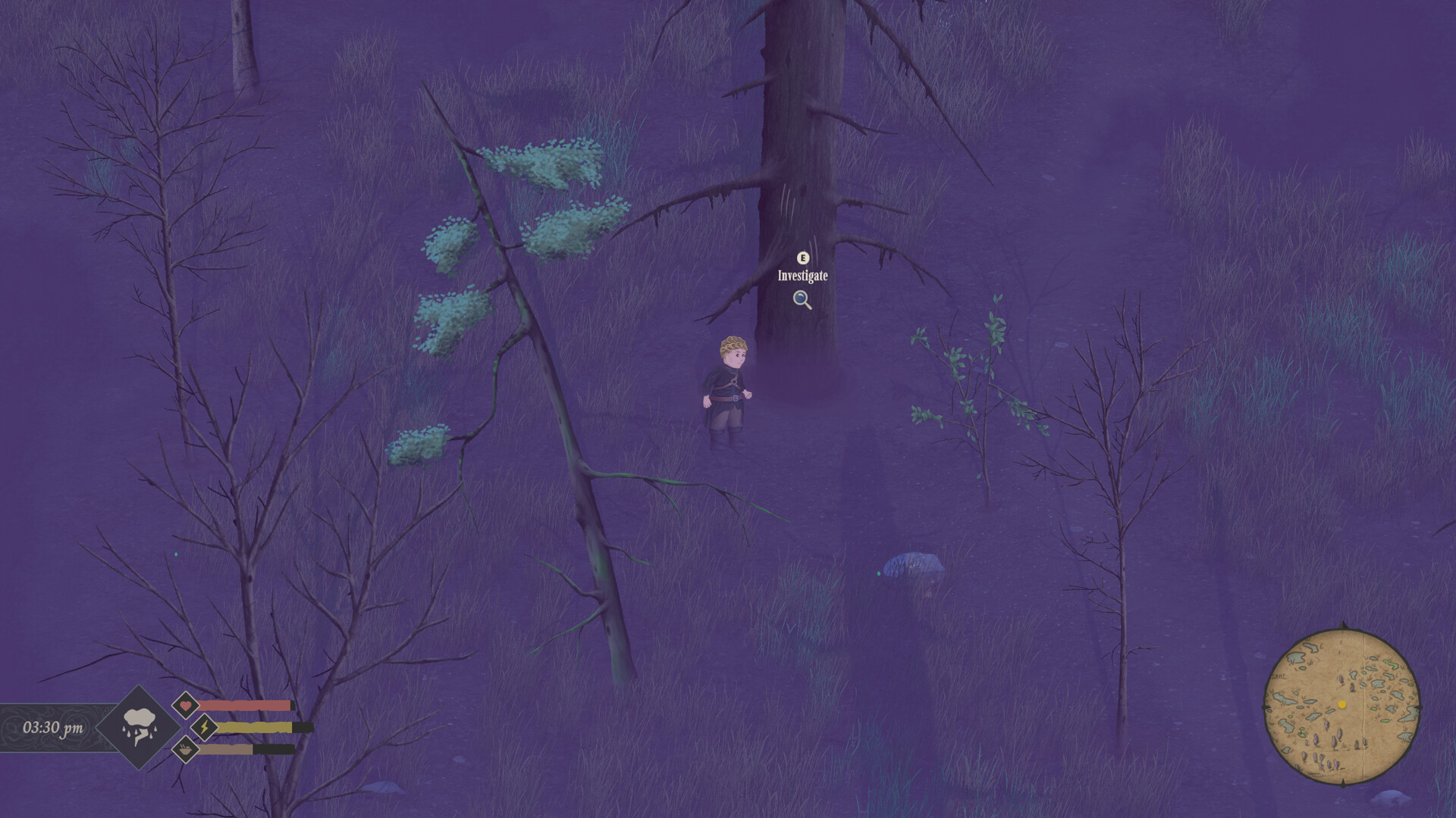 Скриншот из игры Mirthwood - 23