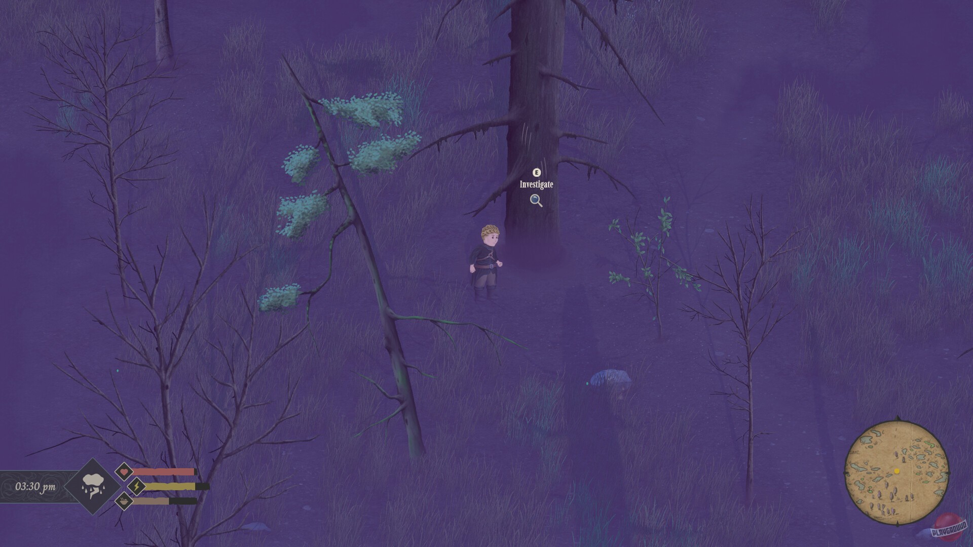 Скриншот из игры Mirthwood - 10