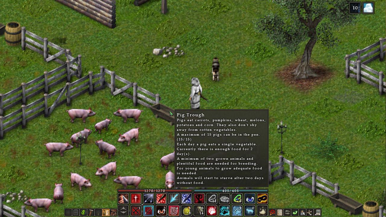 Скриншот из игры Balrum - 101