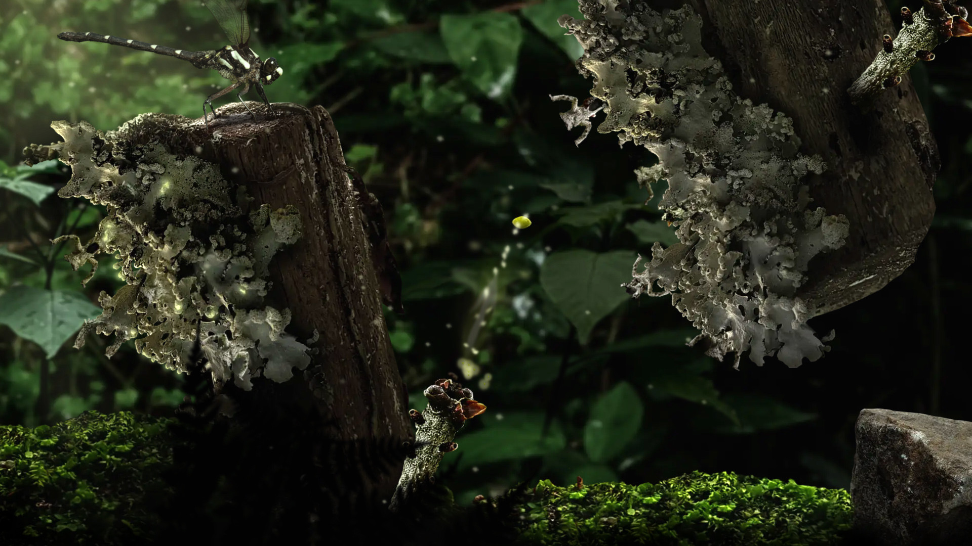 Скриншот из игры Seedlings - 1