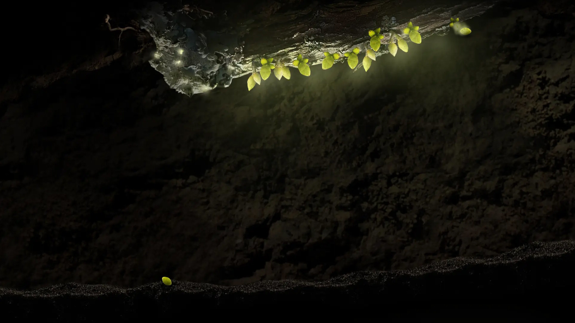 Скриншот из игры Seedlings - 4