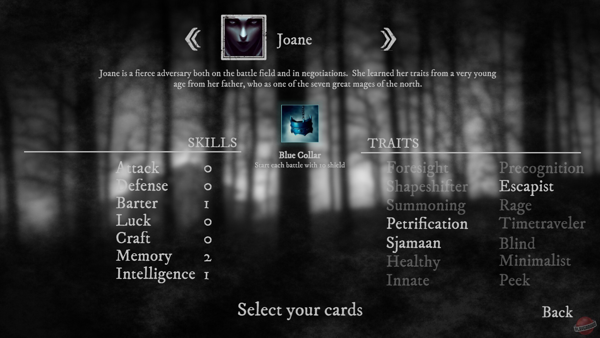 Скриншот из игры Runes of Aereal - 8