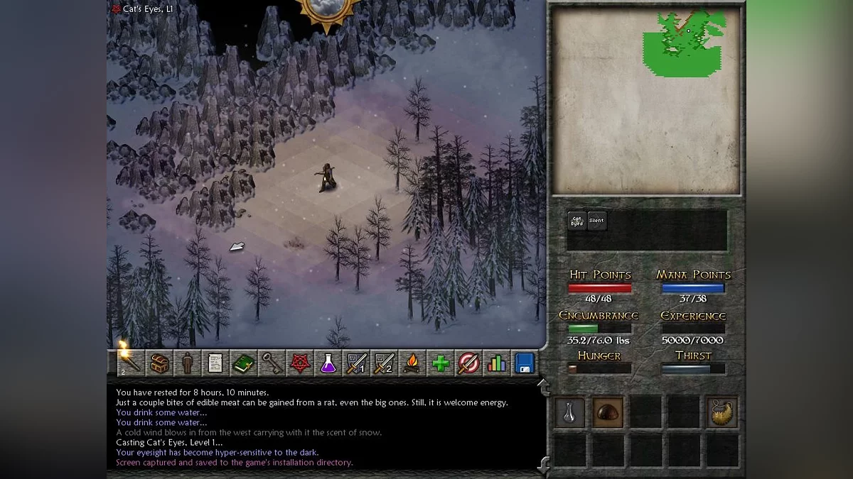 Скриншот из игры Eschalon: Book 2 - 2