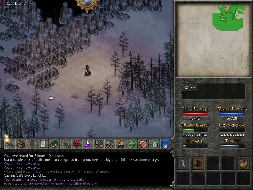 Скриншот из игры Eschalon: Book II - 39