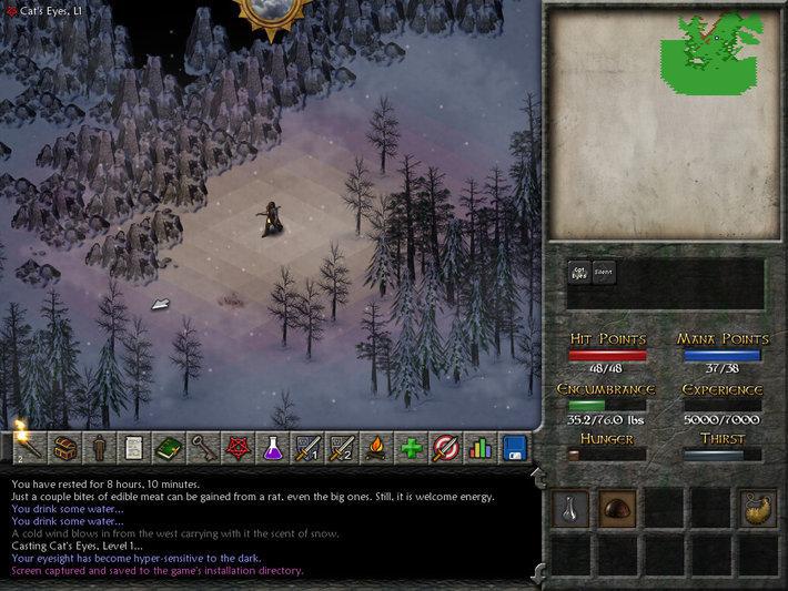 Скриншот из игры Eschalon: Book II - 7