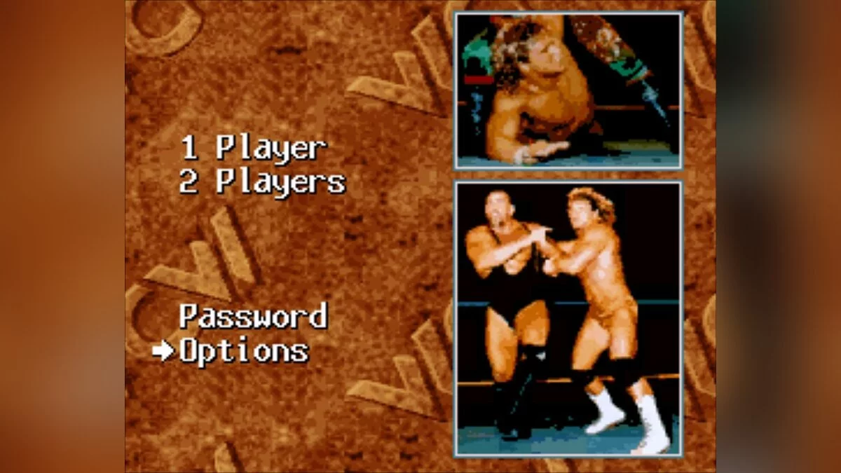 Скриншот из игры WCW Superbrawl Wrestling - 10