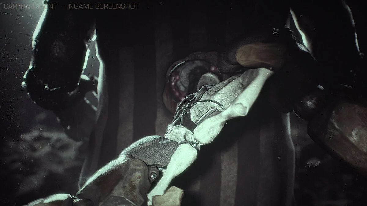 Скриншот из игры Carnival Hunt - 20