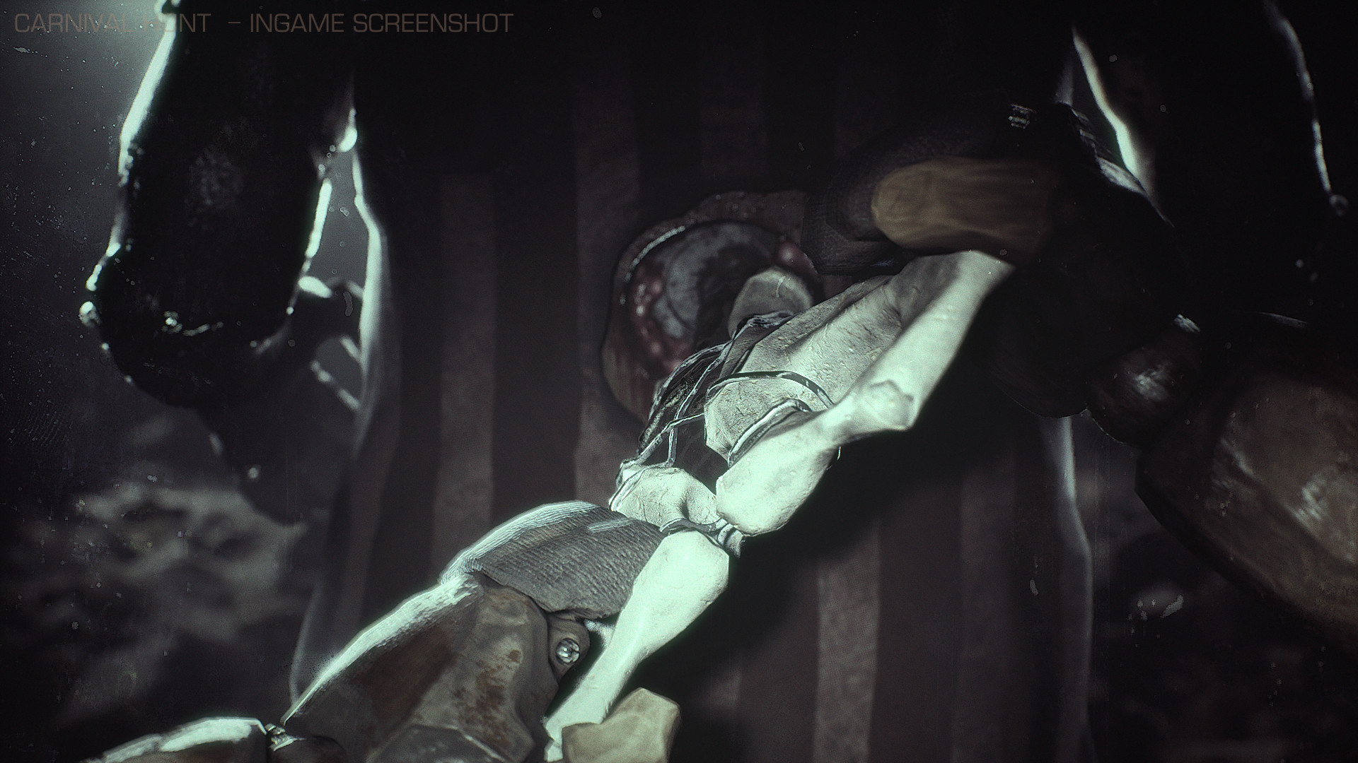 Скриншот из игры Carnival Hunt - 18