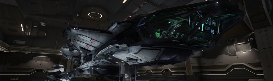 Скриншот из игры Star Citizen - 28