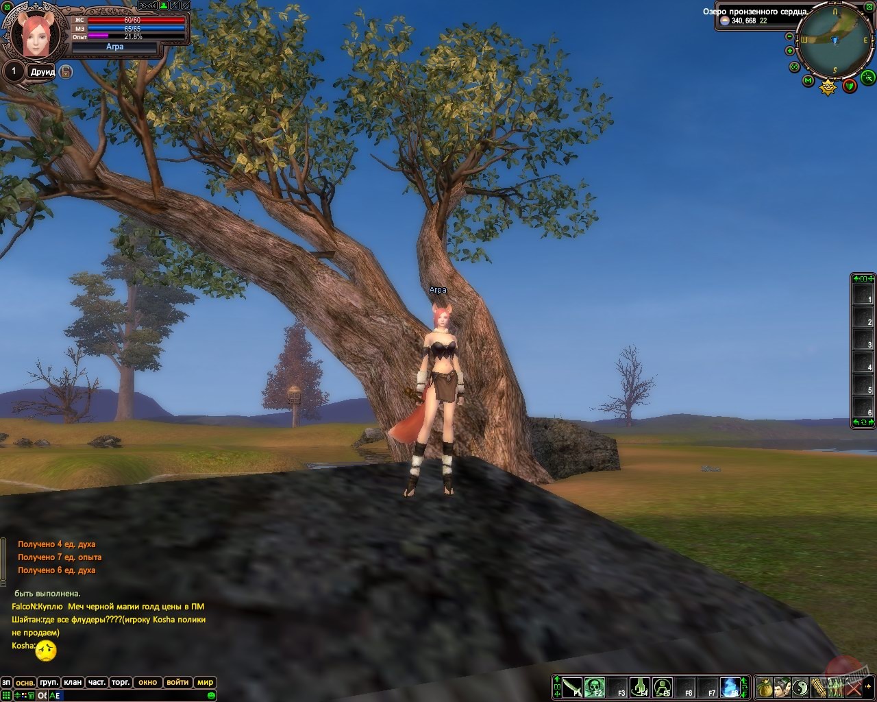 Скриншот из игры Perfect World - 27