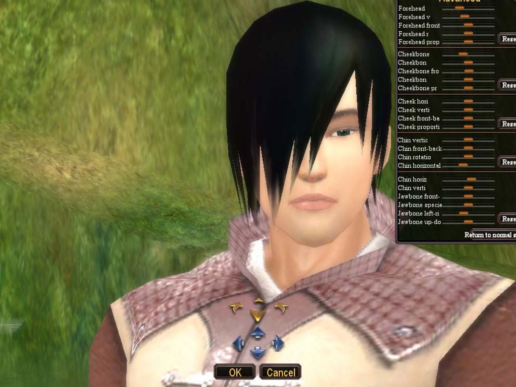 Скриншот из игры Perfect World - 58