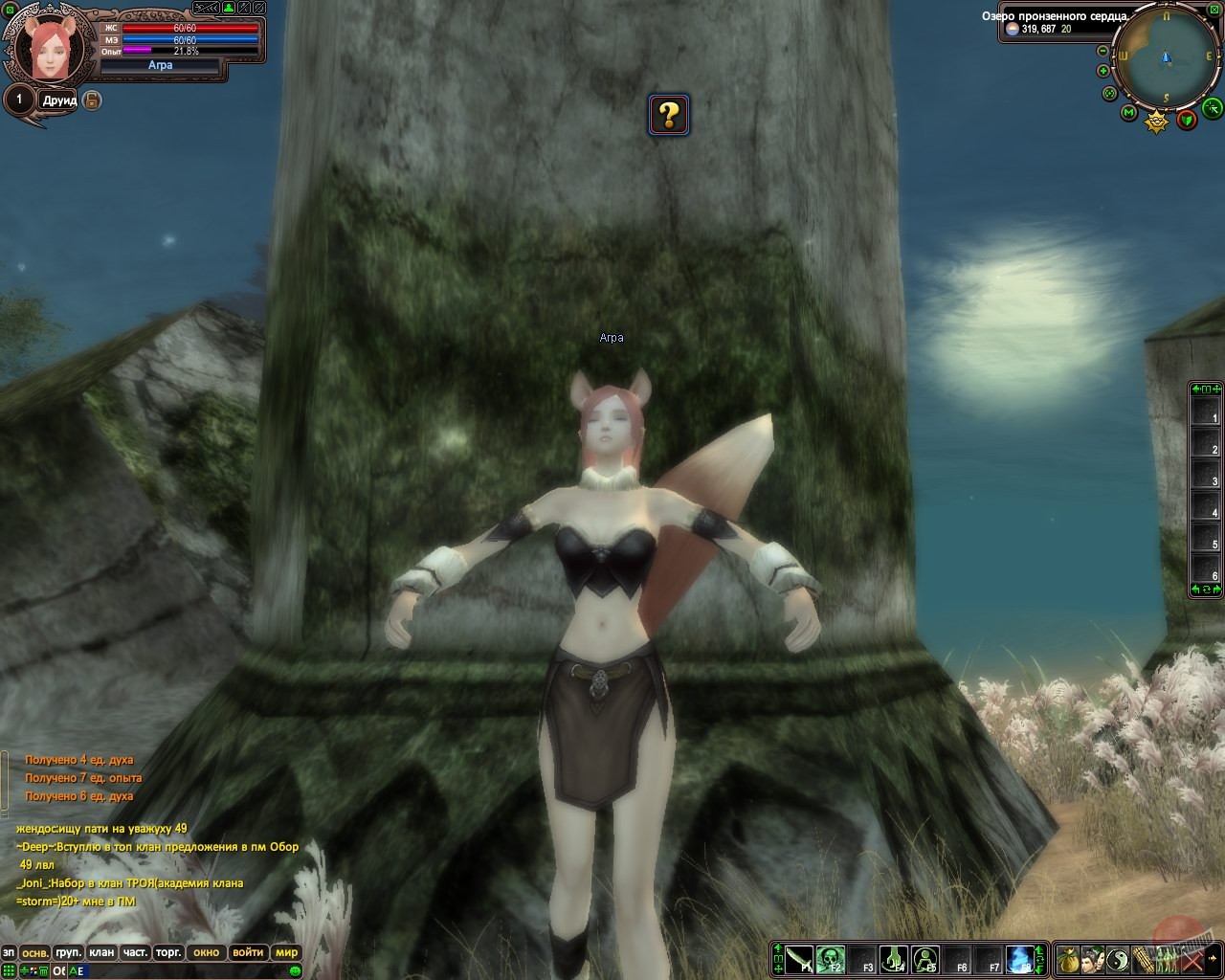 Скриншот из игры Perfect World - 33