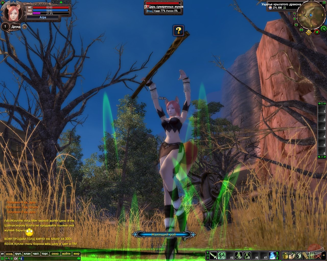 Скриншот из игры Perfect World - 5