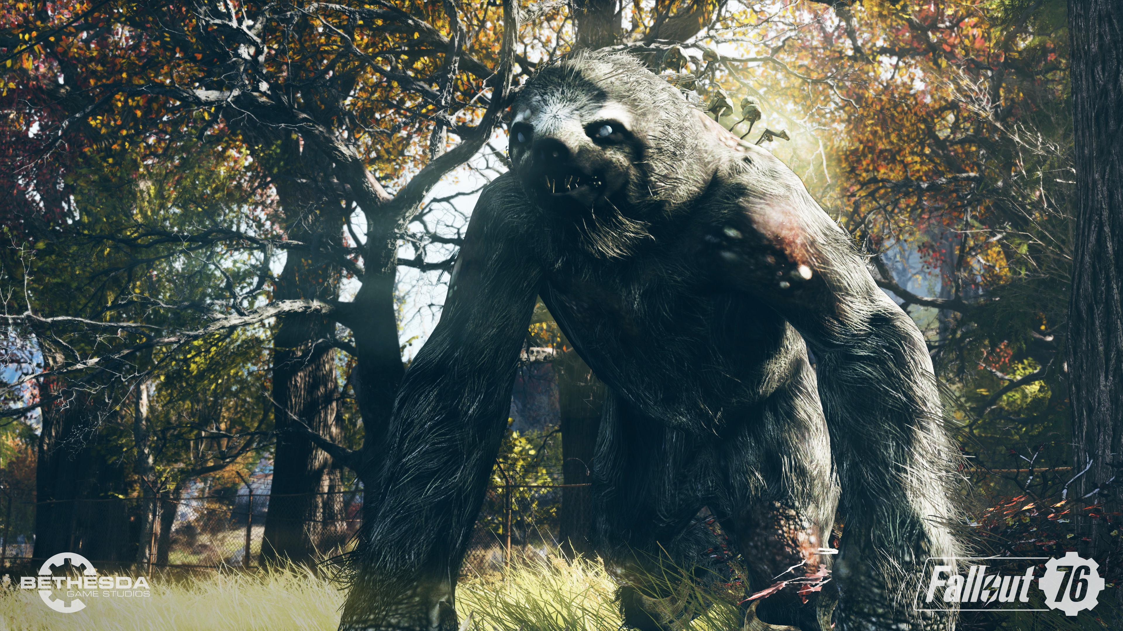 Скриншот из игры Fallout 76 - 97