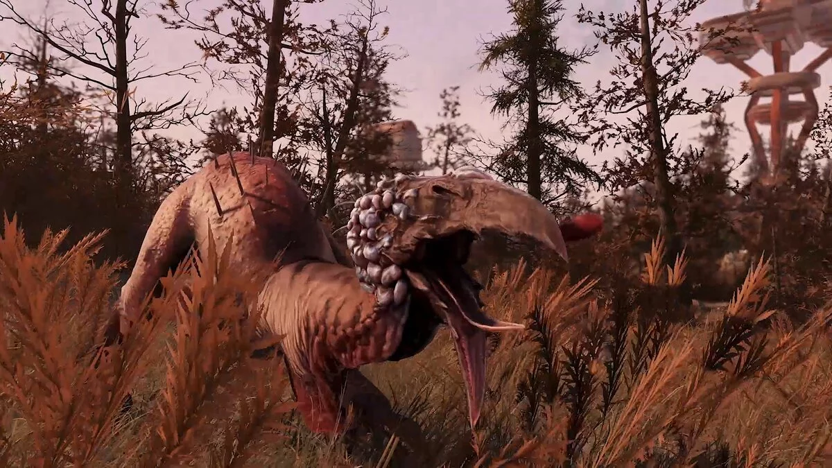 Скриншот из игры Fallout 76 - 71