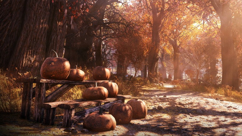 Скриншот из игры Fallout 76 - 38
