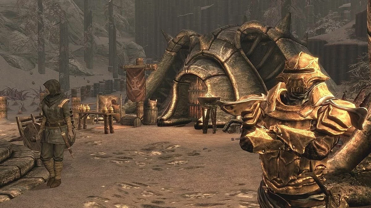 Скриншот из игры The Elder Scrolls 5: Skyrim — Dragonborn - 15