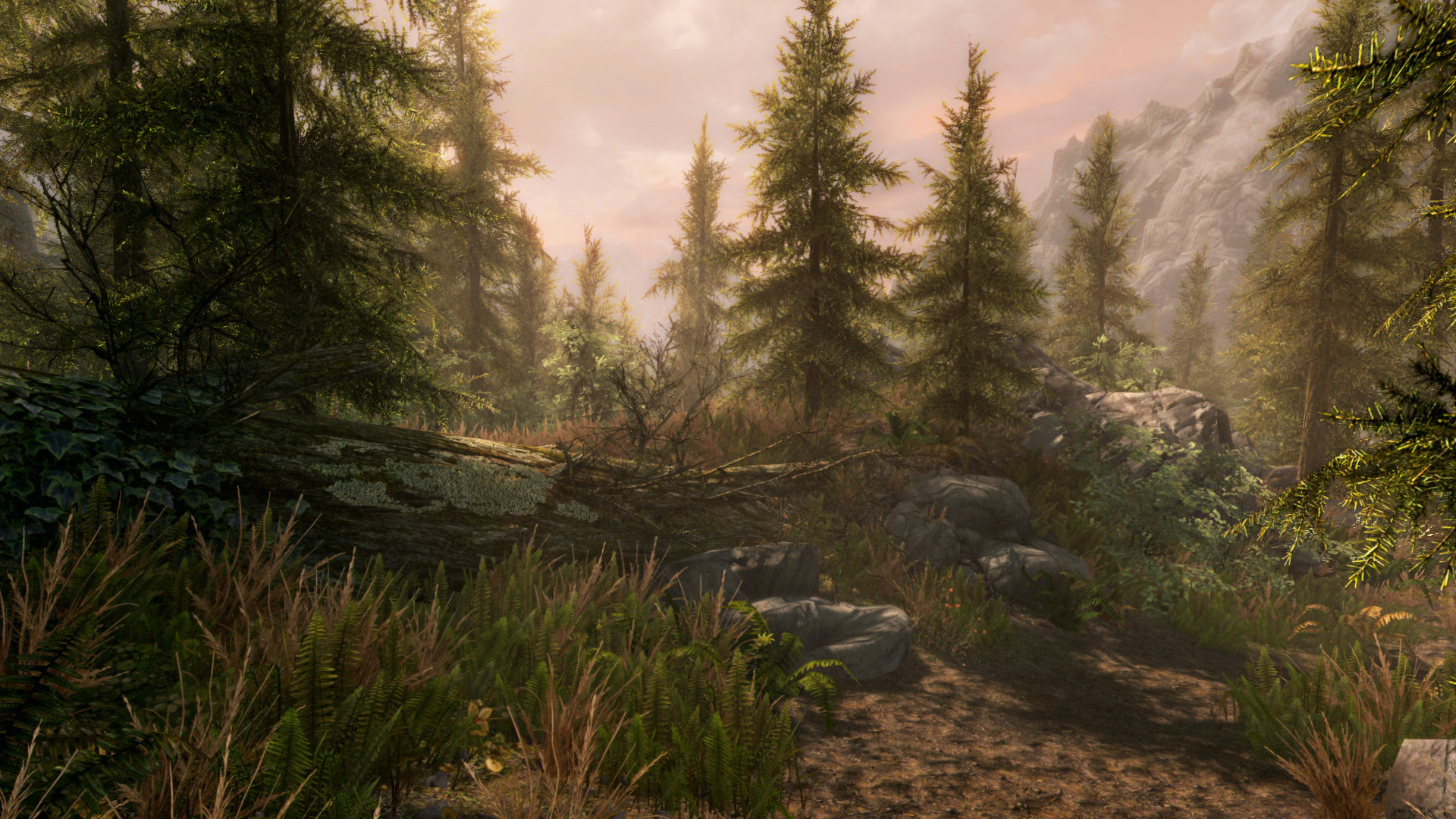 Скриншот из игры The Elder Scrolls V: Skyrim Special Edition - 10