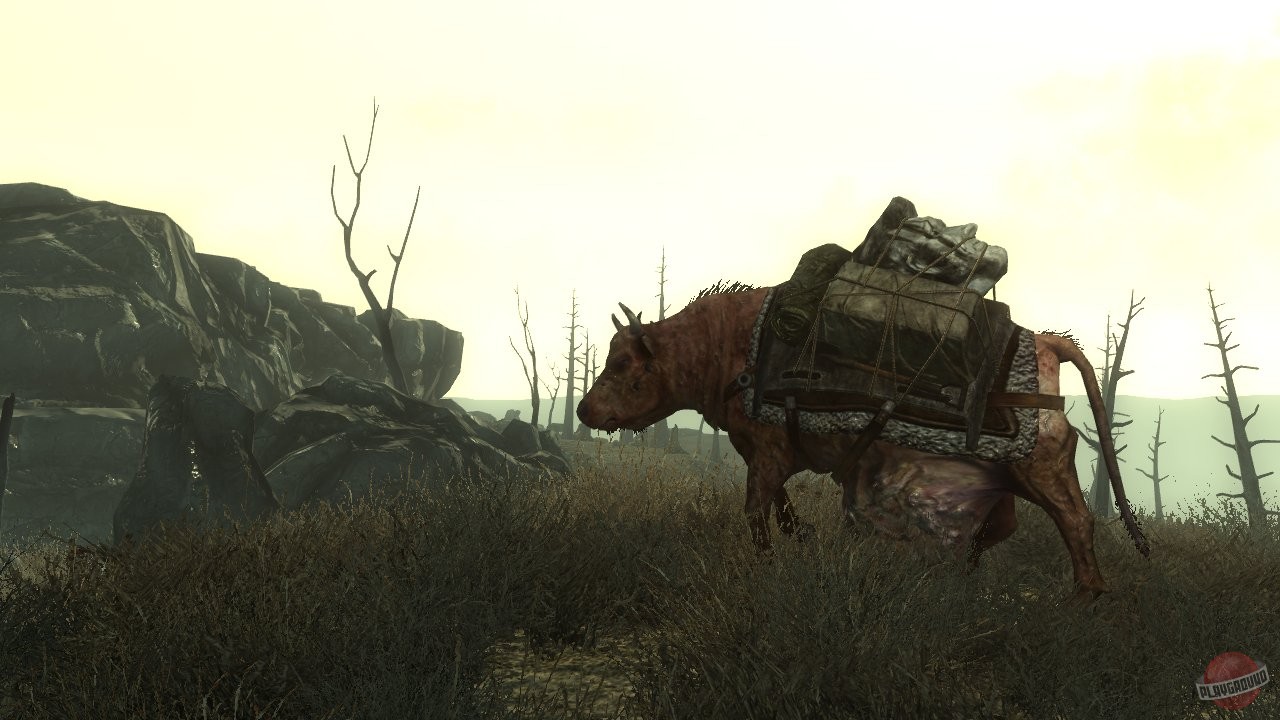 Скриншот из игры Fallout 3 - 128