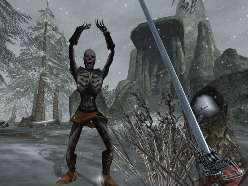 Скриншот из игры The Elder Scrolls 3: Morrowind - 28