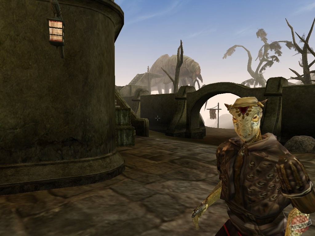 Скриншот из игры The Elder Scrolls 3: Morrowind - 40