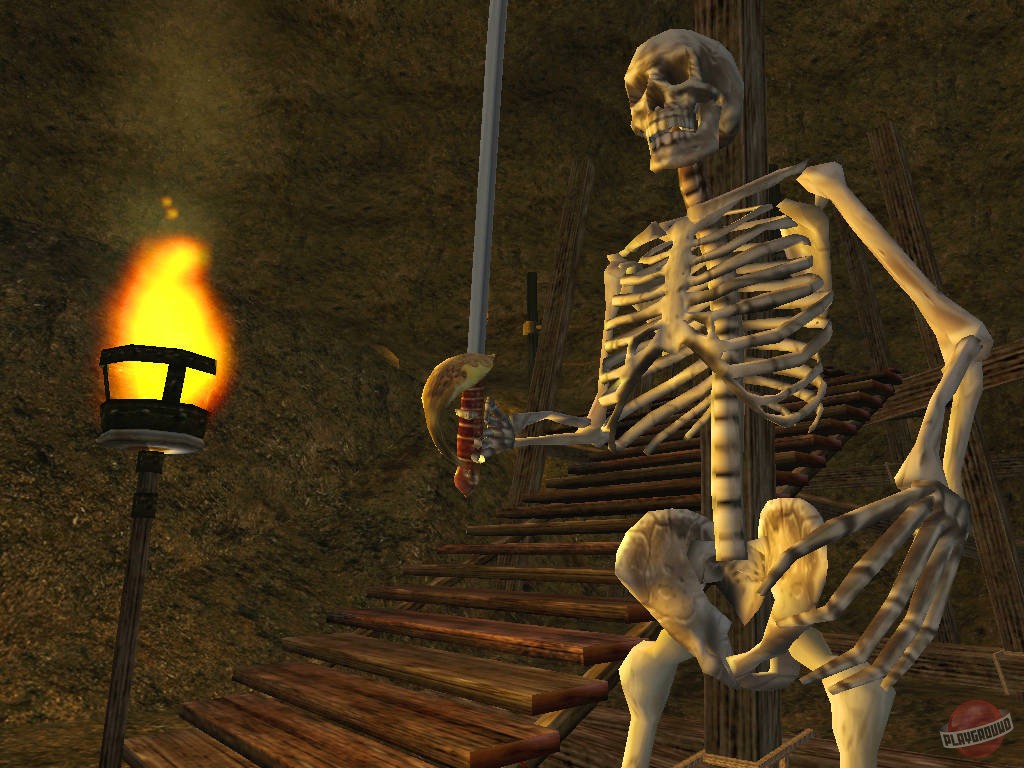 Скриншот из игры The Elder Scrolls 3: Morrowind - 20