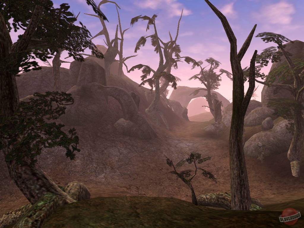 Скриншот из игры The Elder Scrolls 3: Morrowind - 25