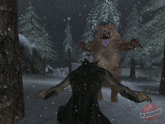 Скриншот из игры The Elder Scrolls 3: Morrowind - 13