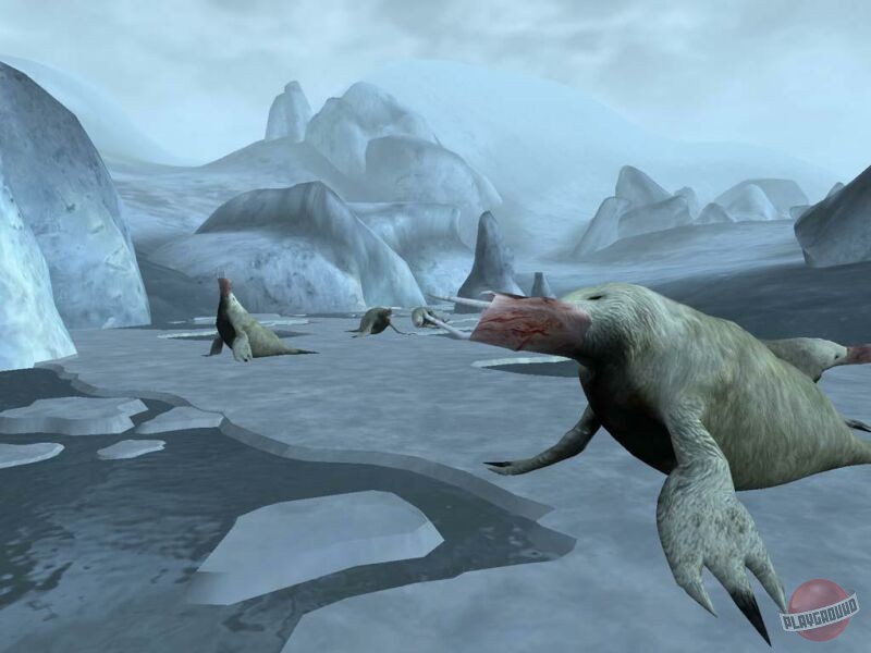 Скриншот из игры The Elder Scrolls 3: Morrowind - 29