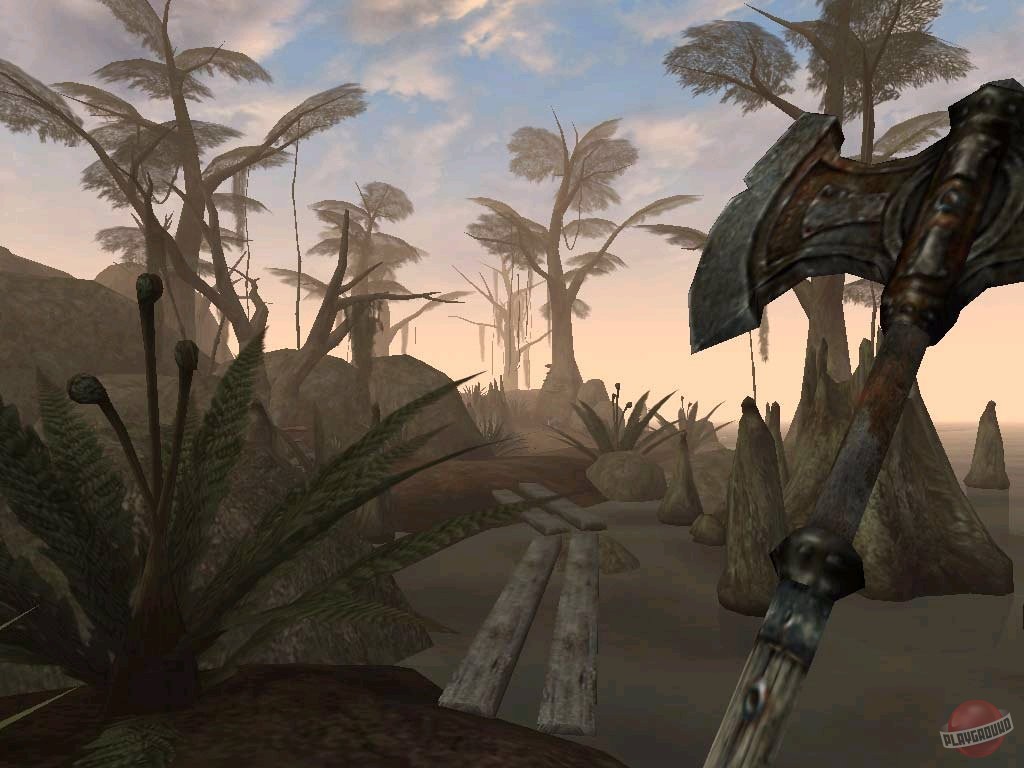 Скриншот из игры The Elder Scrolls 3: Morrowind - 30