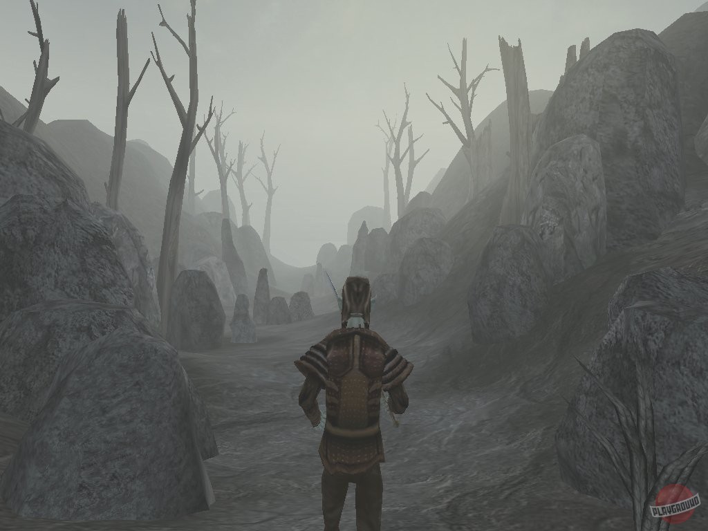 Скриншот из игры The Elder Scrolls 3: Morrowind - 39