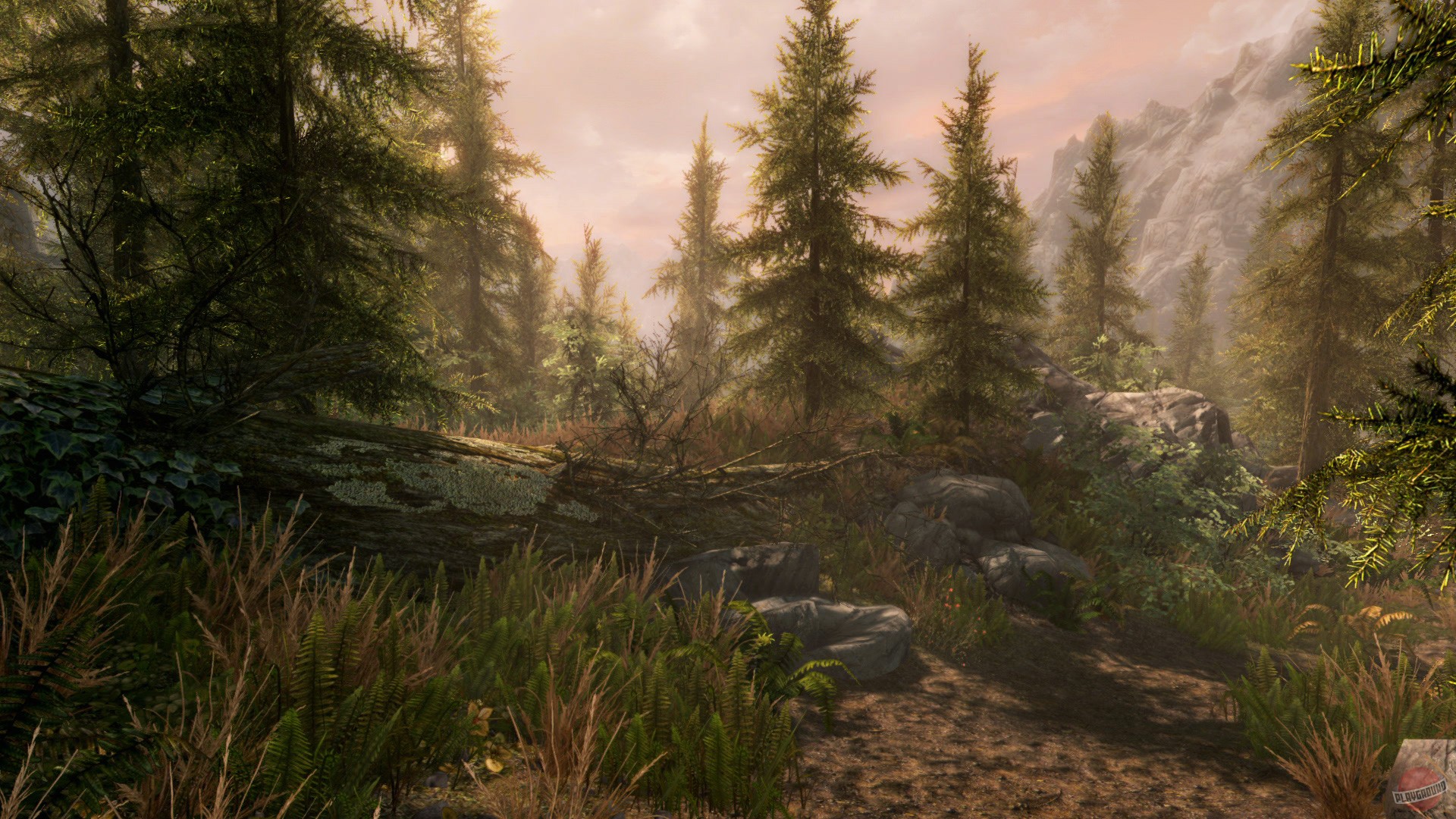 Скриншот из игры The Elder Scrolls 5: Skyrim - 139