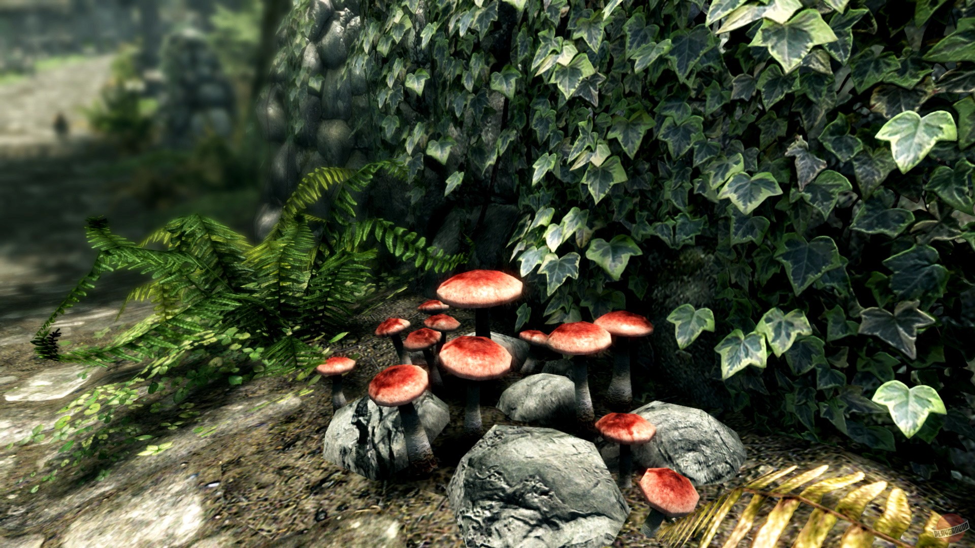 Скриншот из игры The Elder Scrolls 5: Skyrim - 158