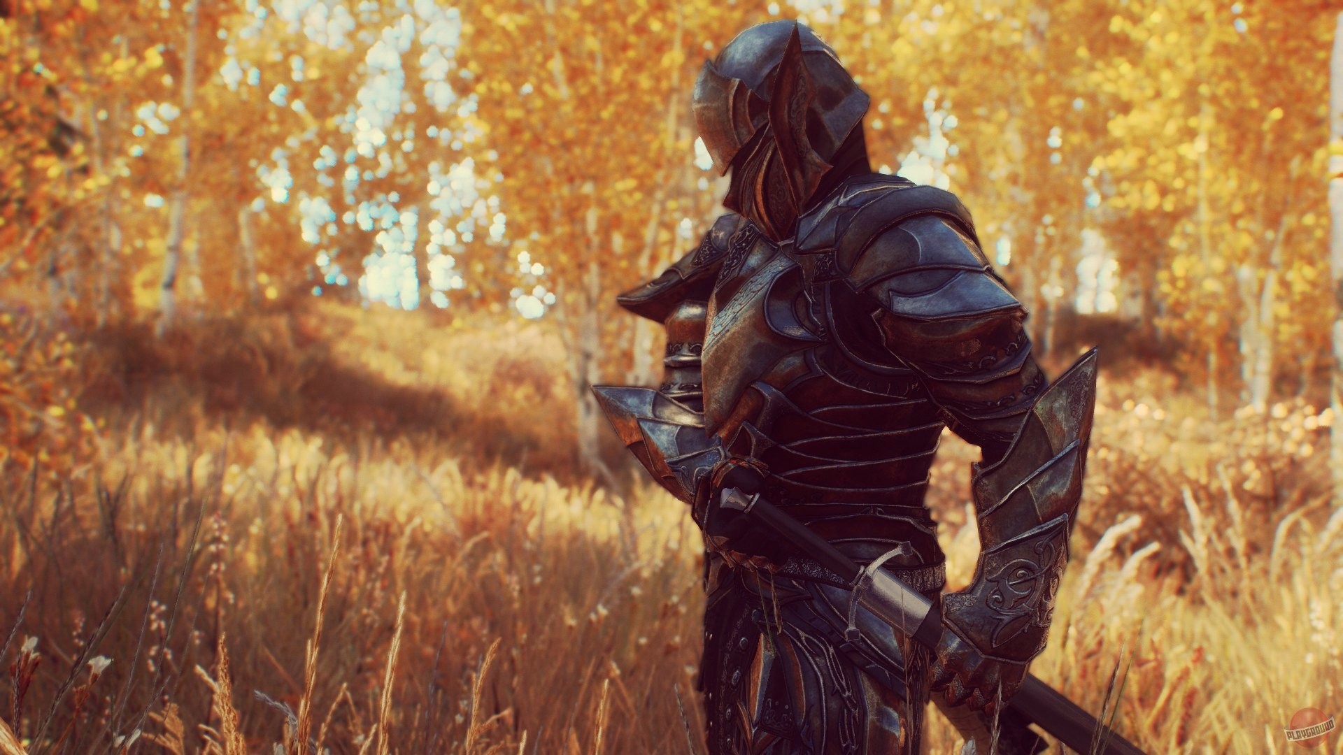 Скриншот из игры The Elder Scrolls 5: Skyrim - 152